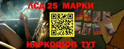 гашик Кулебаки