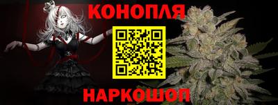 гашик Кулебаки