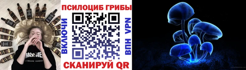Псилоцибиновые грибы мухоморы цены Волхов