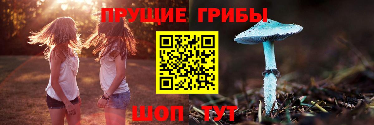 Галлюциногенные грибы MAGIC MUSHROOMS  где найти   Волхов  Вход с VPN 